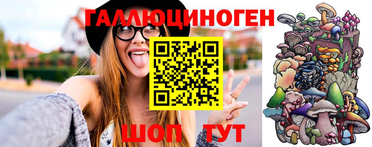 Галлюциногенные грибы ЛСД  Вход с VPN  Сальск  Галлюциногенные грибы GOLDEN TEACHER 